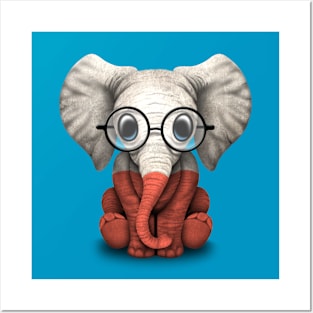 Baby Elephant with Glasses and Polish Flag Posters and Art